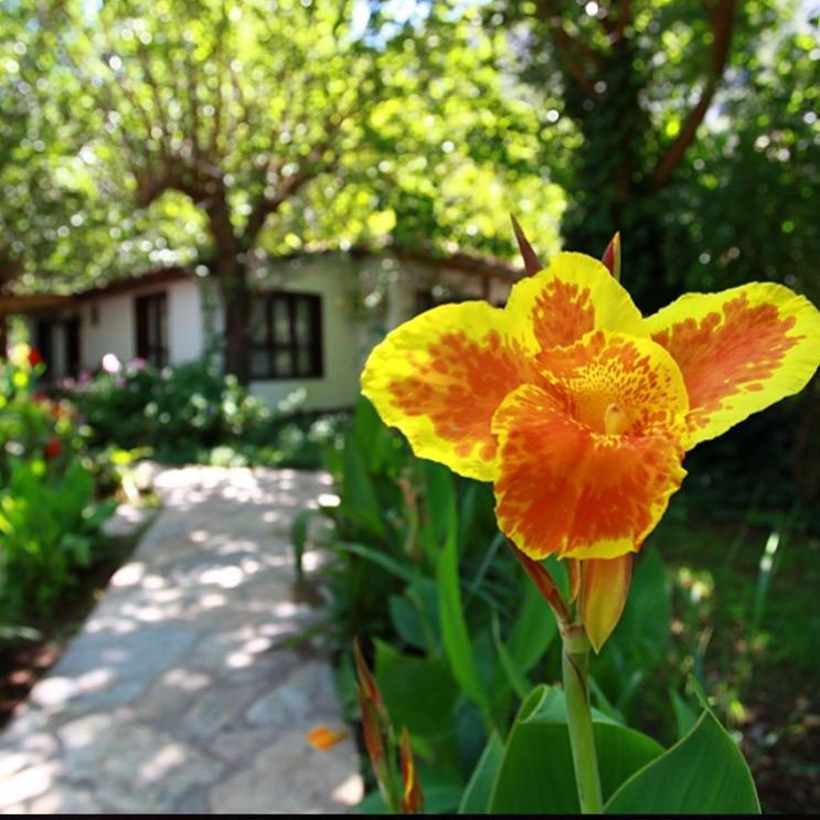 Dolunay Apart Hotel Çıralı Buitenkant foto