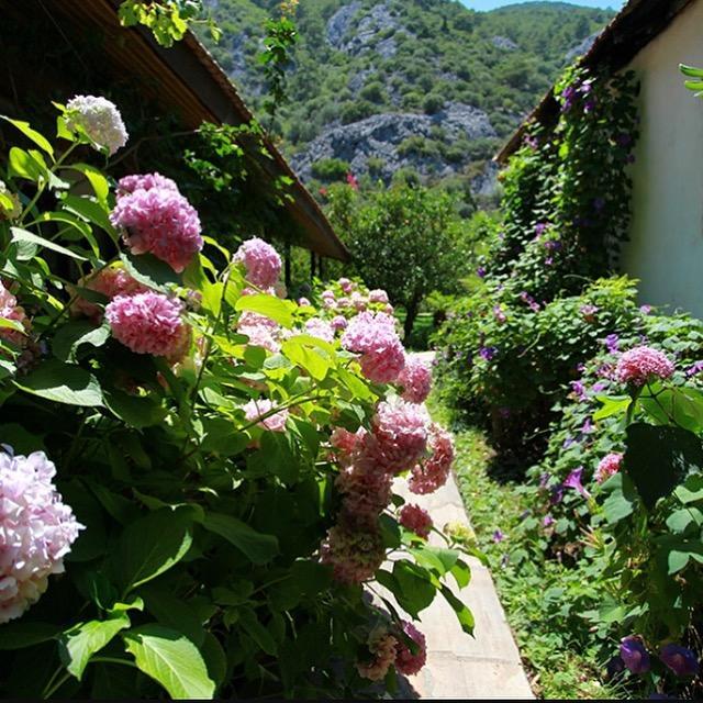 Dolunay Apart Hotel Çıralı Buitenkant foto