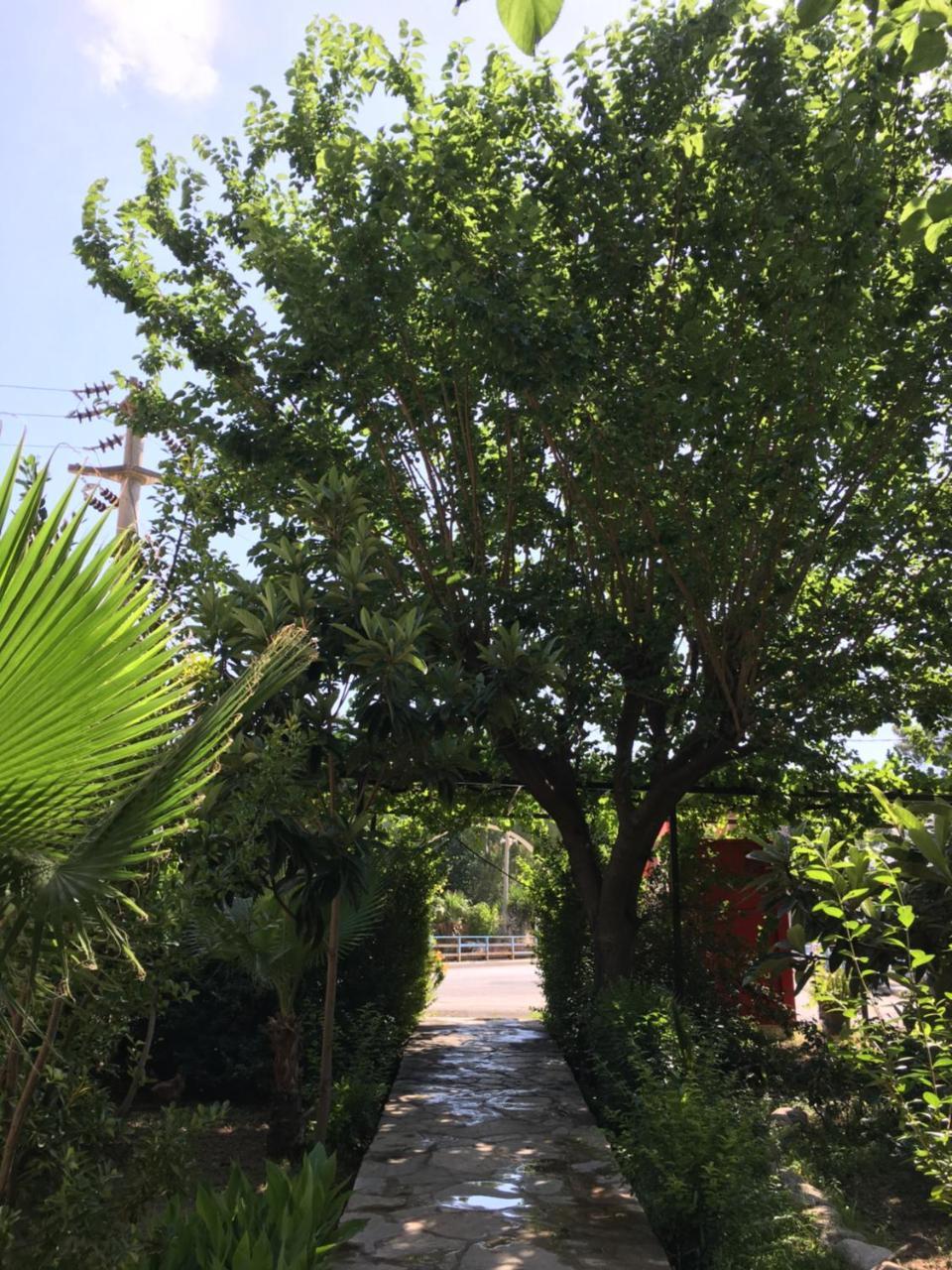 Dolunay Apart Hotel Çıralı Buitenkant foto
