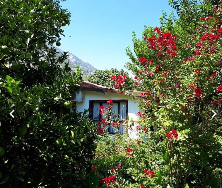 Dolunay Apart Hotel Çıralı Buitenkant foto