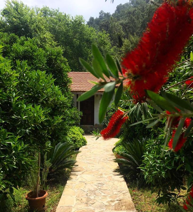 Dolunay Apart Hotel Çıralı Buitenkant foto